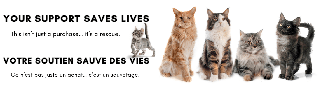 Banner for The Cats Spot 